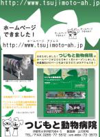 動物病院配布チラシ